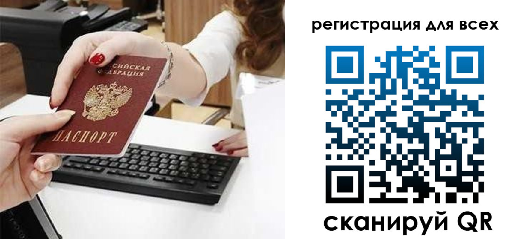 прописка в Александрове
